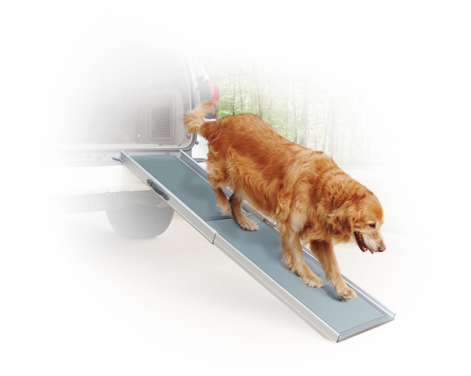 A dog cheap ramp
