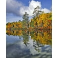 thumbnail image 2 of Terrill, Steve 26x32 White Modern Wood Framed Museum Art Print Titled - USA, Maine Autumn scenic of Upper Togue Pond, 2 of 4