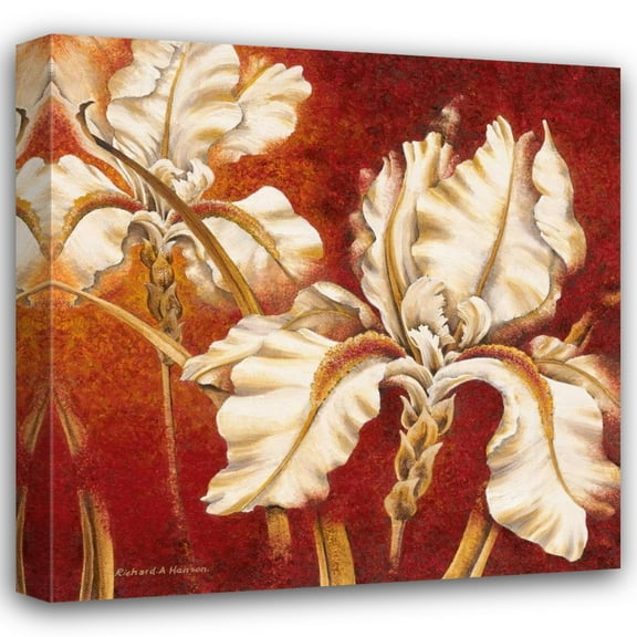 Richard Henson 15x15 Gallery Wrapped Canvas Wall Art Titled - White Iris