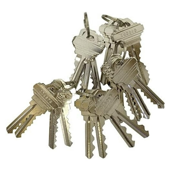 20 Pieces SC1/SC4 Compatible Precut Keys 6 Pins 5 Sets of 4 SC Keys