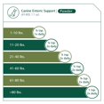 thumbnail image 4 of Suplemento para perros Standard Process Canine Enteric Support 30 g, 4 of 7