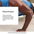 thumbnail image 3 of Proteína en polvo THORNE Plant Protein 22 g, vainilla vegana, 20 raciones, 3 of 8