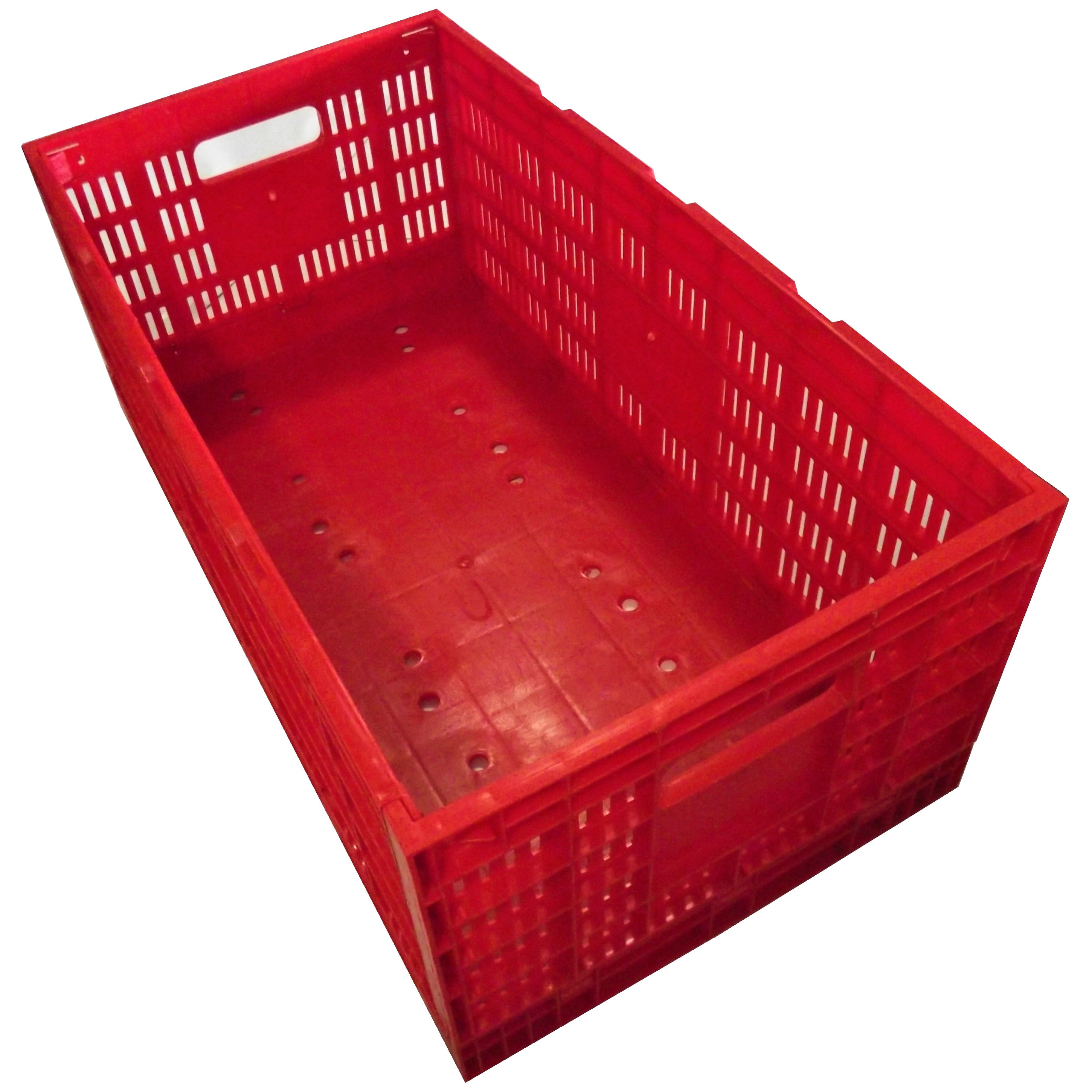 RITE FARM PRODUCTS EGG TRAY CARTON TRANSPORT CRATE CHICKEN SHIPPING POULTRY CASE