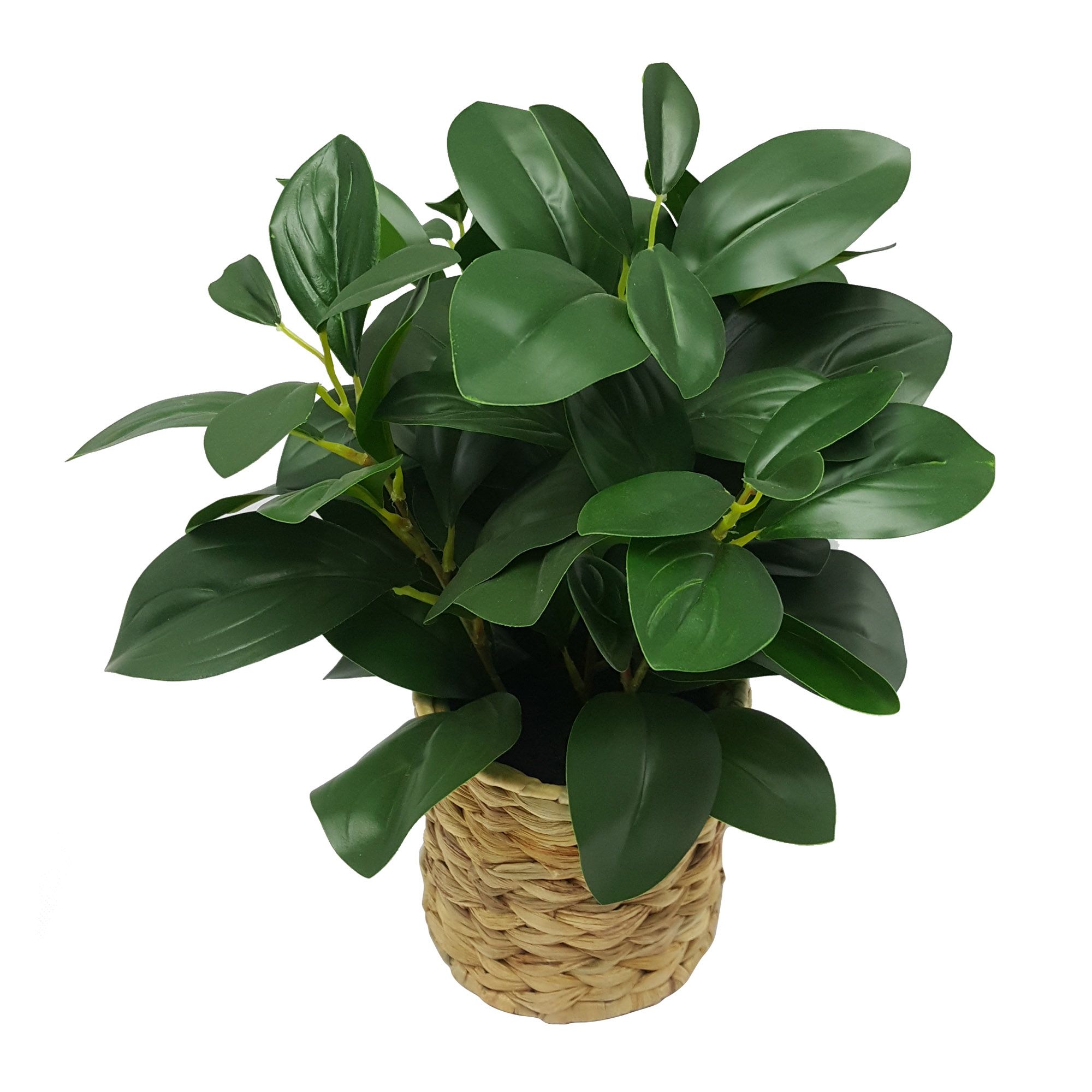 Better Homes & Gardens 13" Artificial Peperomia Plant in Natural Wicker Basket - image 4 of 5