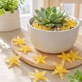 thumbnail image 5 of 50 PCS Glow in The Dark Rocks - Color Luminous Stones Starfish-Shaped Sea Aquarium Glow Stones Fish Tank Rocks Outdoor Decor Garden Yard Walkway Pathway, 5 of 6