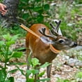 thumbnail image 3 of Baluue Sturdy Deer Dragging Strap Traction Rope Nylon 1Pack for Forest Terrain, 3 of 8