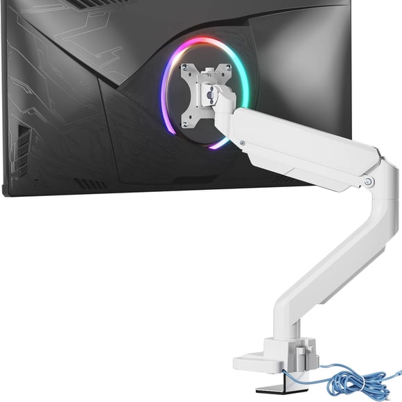 WALI Ultrawide Monitor Arm for 13 to 49 Inch Heavy Duty Curved Screens, Adjustable Gas Spring Single Monitor Desk Mount with 2 USB 3.0 Ports, Holds 3