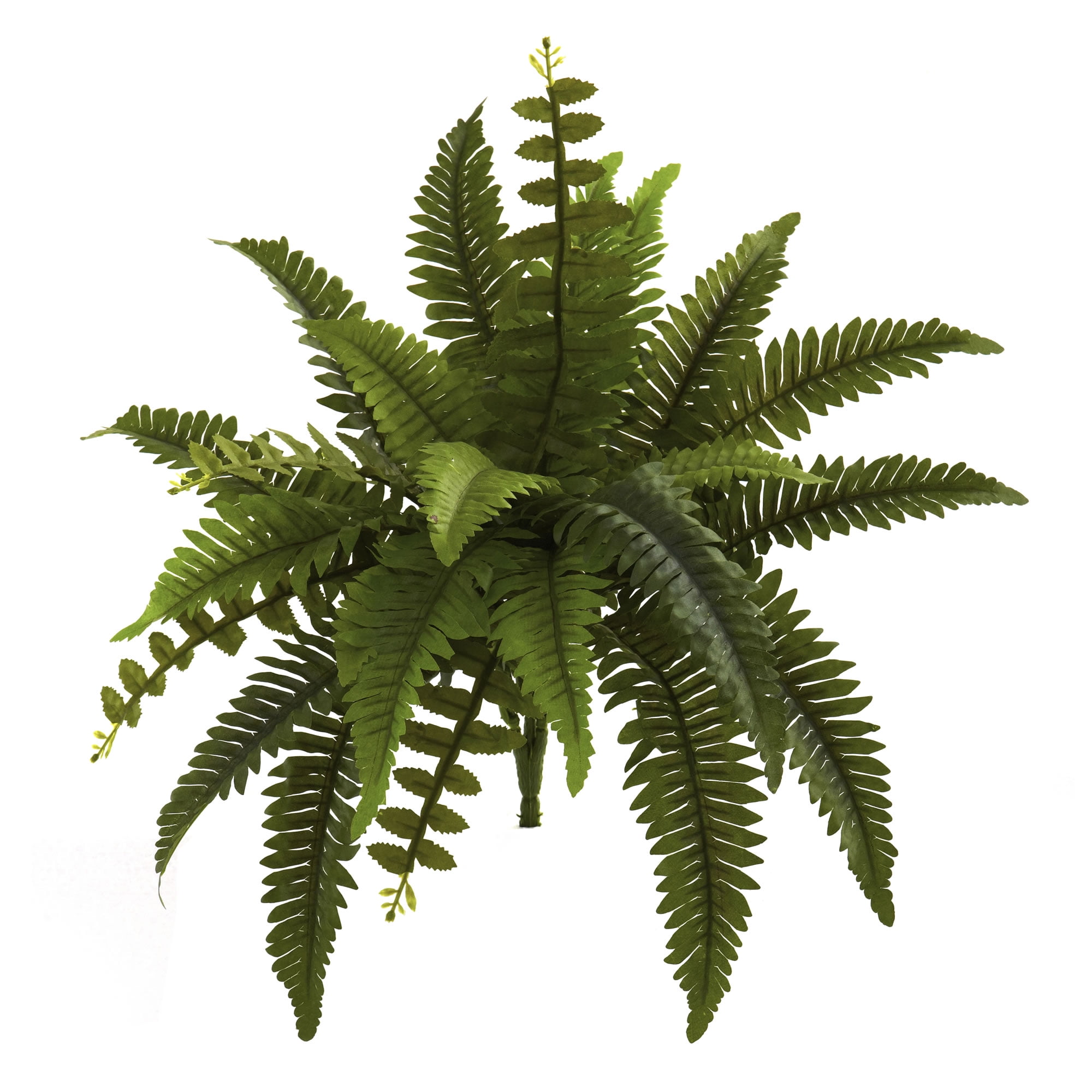 Ferns Assorted Artificial Plant Nearly Natural 14" Set of 3 