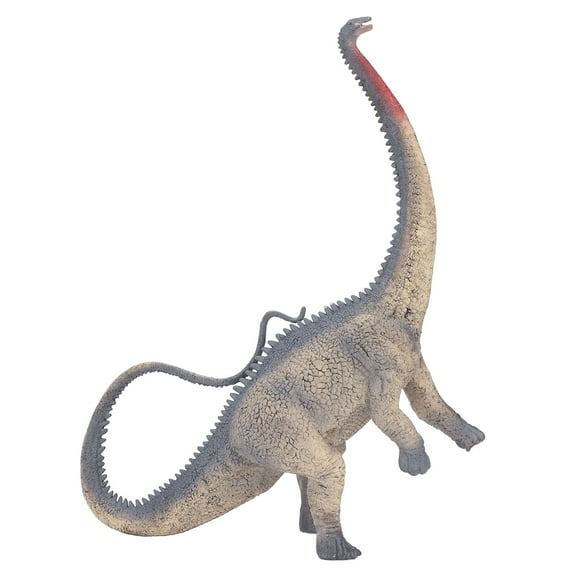 Diplodocus Model, Simulated Lifelike Dinosaur Model Toy Safe Exquisite Static For Boys Girls For Toy Store