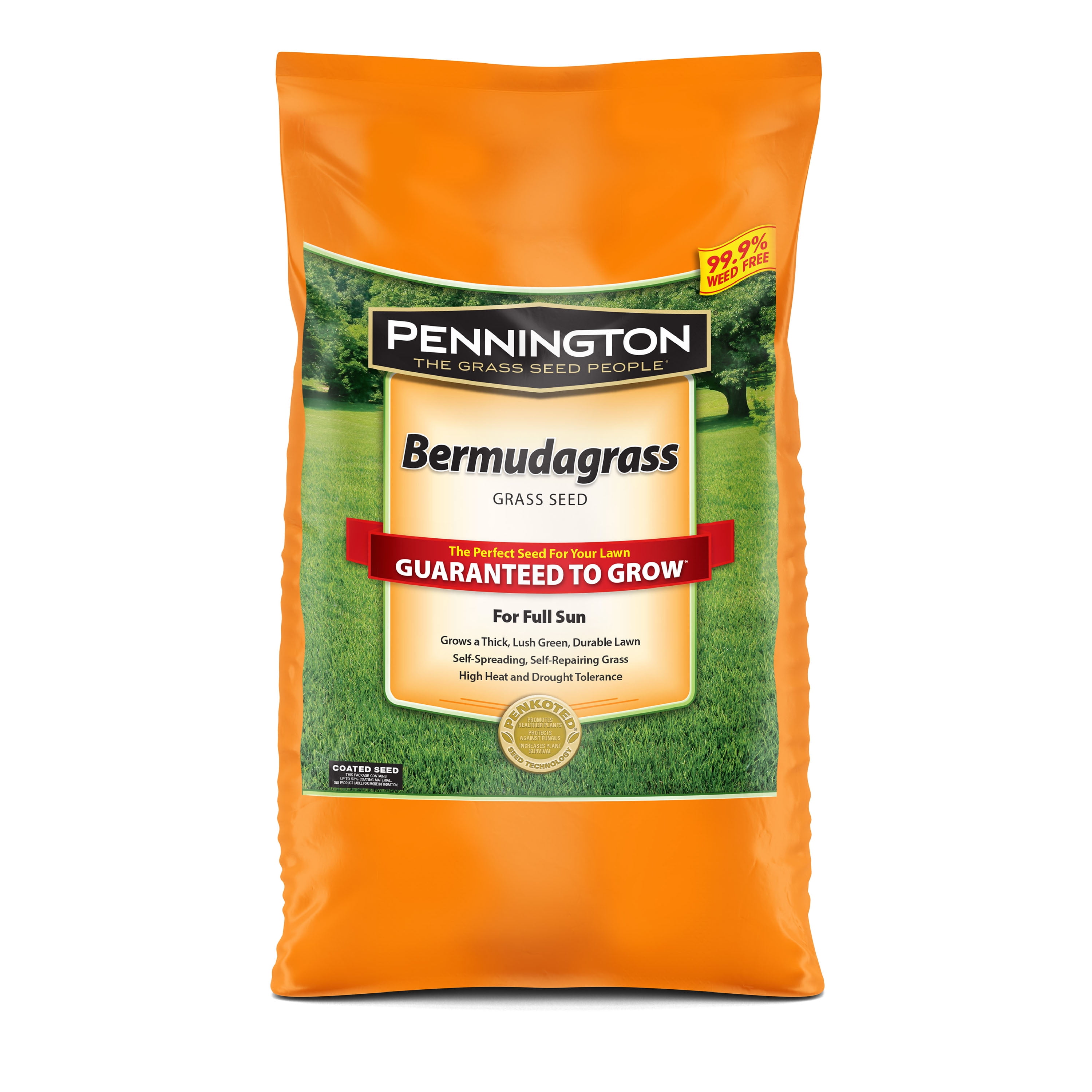 Pennington Sahara Bermudagrass Grass Seed For Southern Lawns; 5 Lb ...