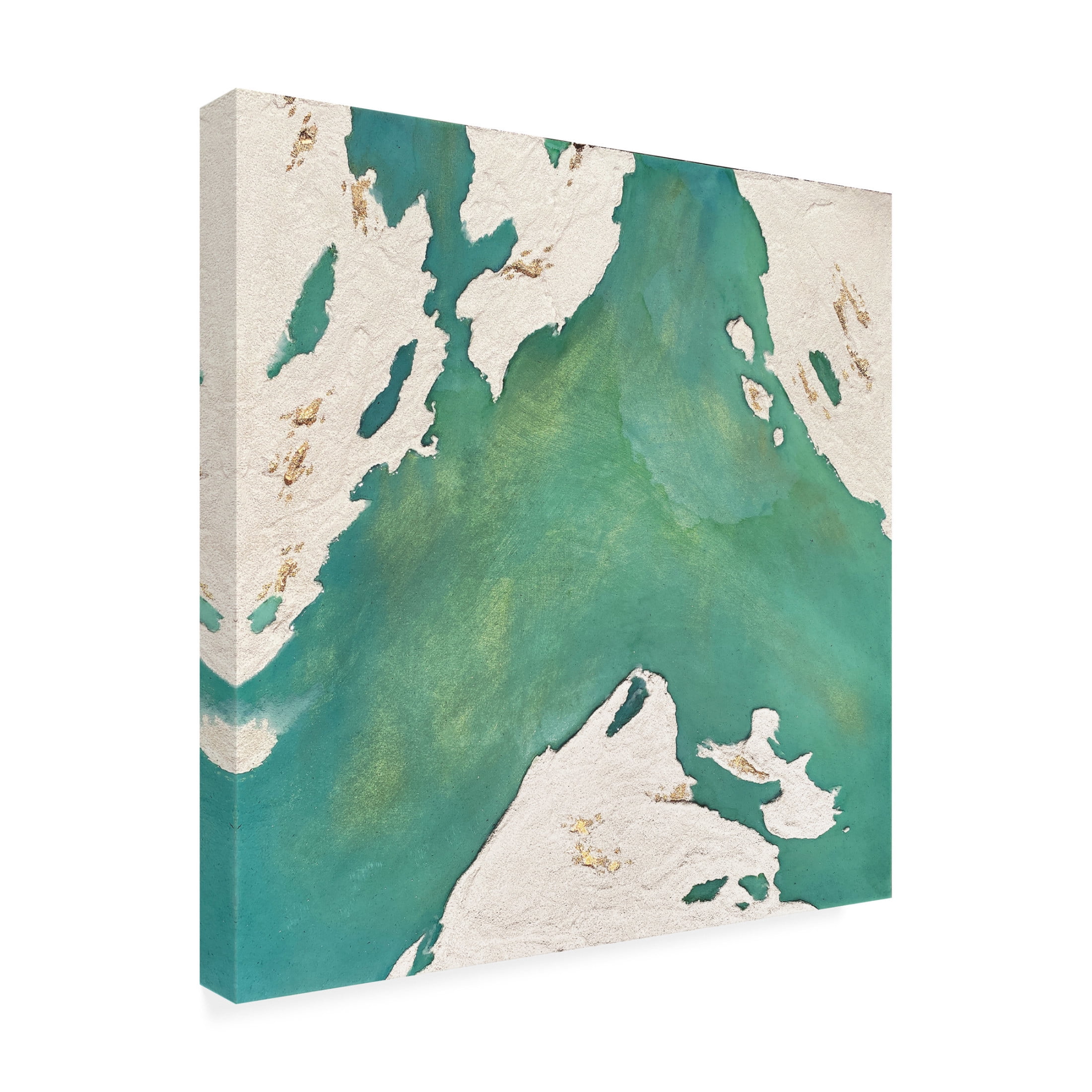 Trademark Fine Art Alyson Storms  Emerald Island Canvas Wall Art