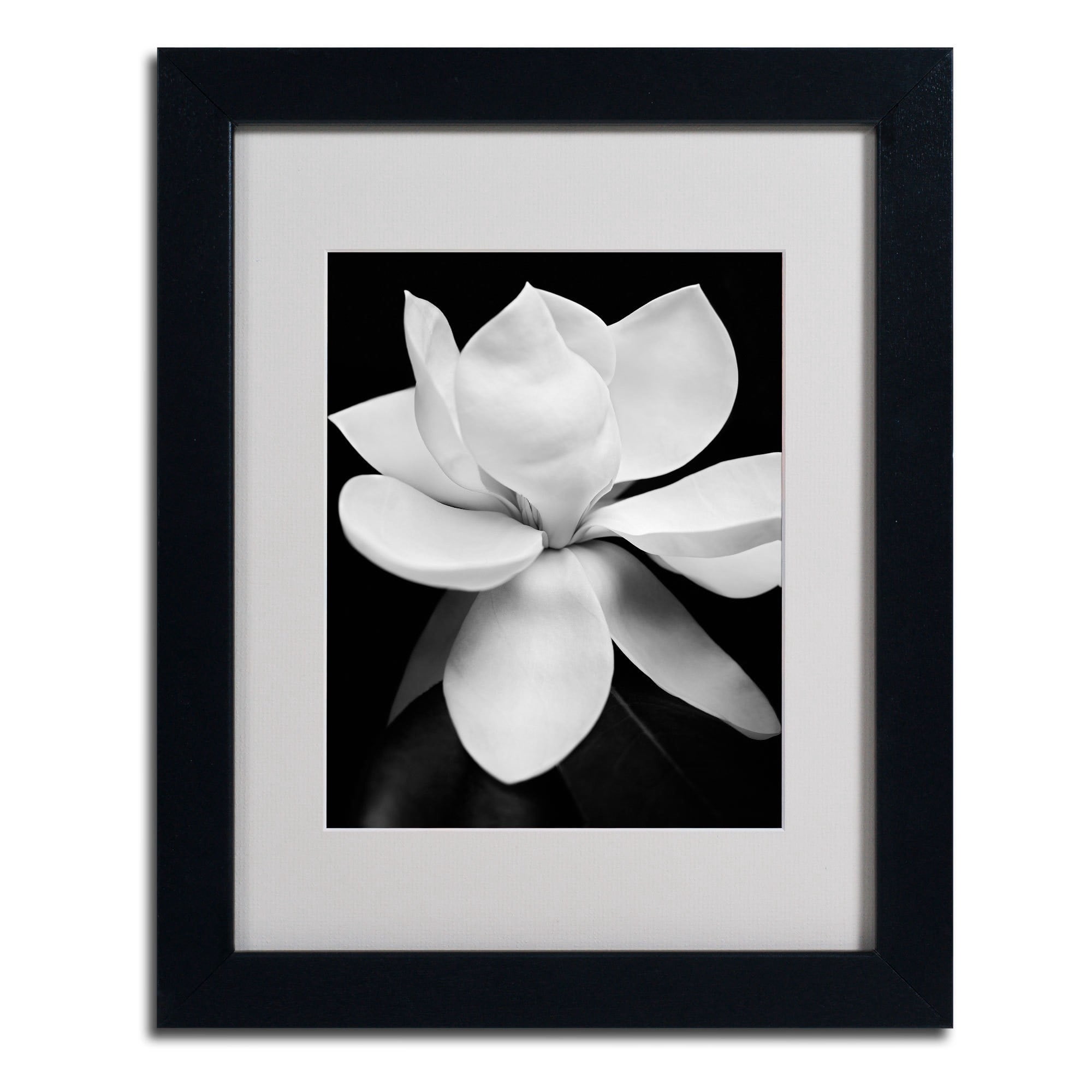 Matted art under acrylic in a black frame