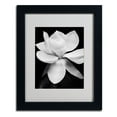 thumbnail image 2 of Matted art under acrylic in a wood frame, 2 of 5