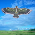 thumbnail image 4 of Cometa Eagle Con Diseño Realista, Liviana para un Un Vuelo Fácil, Promueve El Vínculo Entre E Hijos, 4 of 7