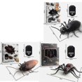 thumbnail image 5 of Children's Educational Toys Infrared Simulation Remote Control Cockroach Ant Spider Electric Toy, 5 of 5
