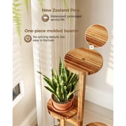 Bamworld 3 Tier Plant Stand Indoor For Multiple Plants, Corner Flower Shelf Plant Holder Display Rack Shelving for Patio Garden Balcony Bedroom Living Room