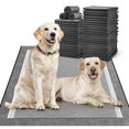 thumbnail image 1 of Almohadillas para orinar para perros MIZOK, extra grandes, 30 x 36 pulgadas, 35 unidades, 1 of 7