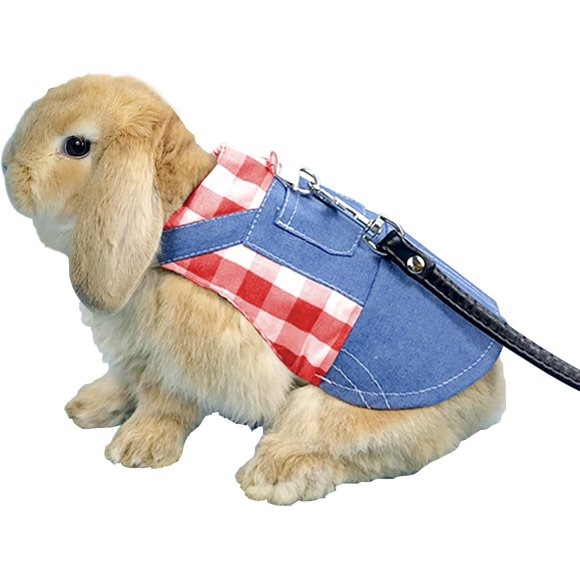 Harnais avec Laisse pour Lapin, Harnais de Lapin avec Laisse de Remorquage Élastique Réglable(rouge 20cm-L)