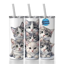 Sweet Gray And White Cats 20oz Insulated Water Bottle Skinny Tumbler Includes Straw