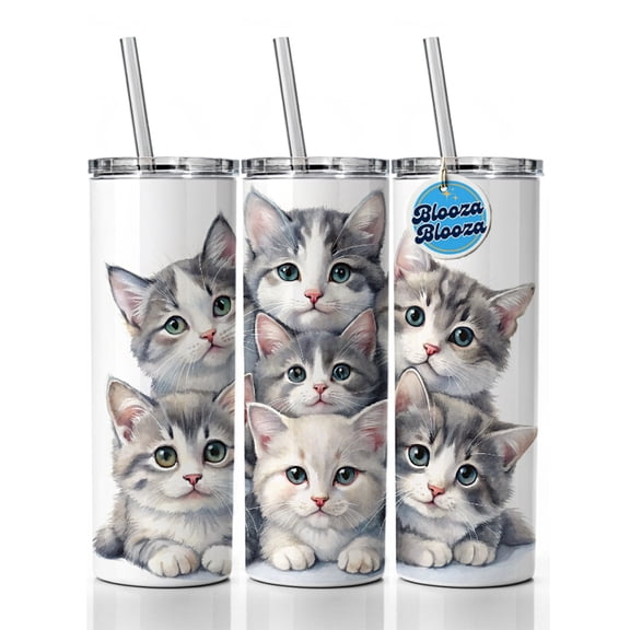 Sweet Gray And White Cats 20oz Insulated Water Bottle Skinny Tumbler Includes Straw