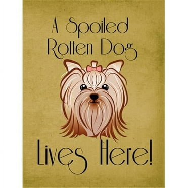 Carolines Treasures BB1452GF Yorkie Yorkishire Terrier Spoiled Dog Lives Here Flag Garden Size