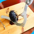 thumbnail image 1 of Sea Urchin Opener Stainless Steel Cutter Multifunctional Seafood Tool for Kitchen, 1 of 7