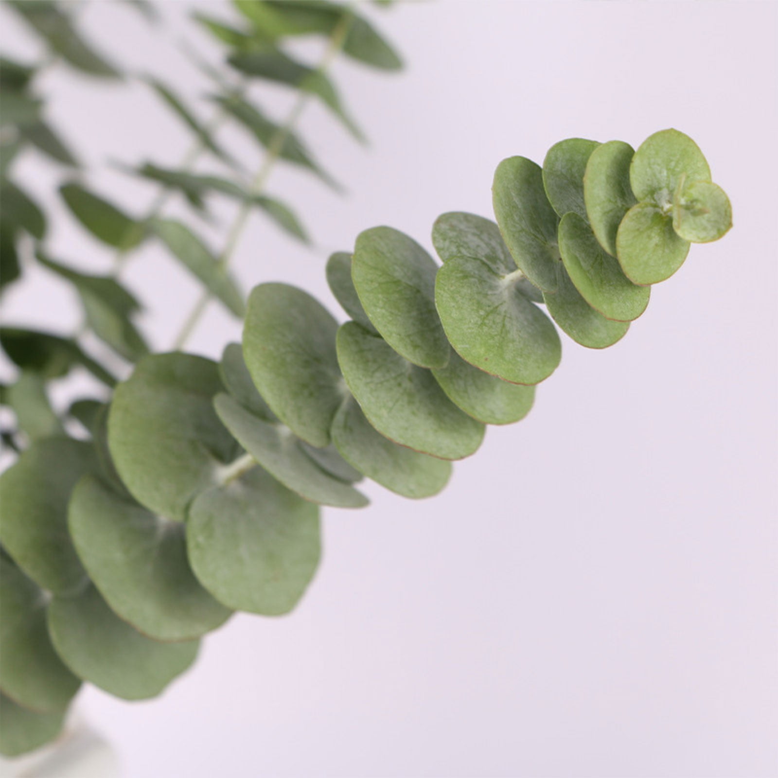Xoxingysm Artificial Flowers Leaves Leaves Art Leaves Home Decoration Dried Flowers, Olive Leaves *1 Bunch
