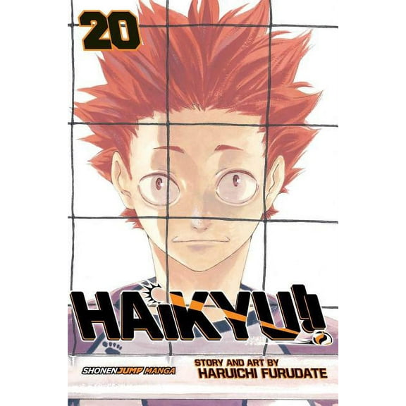 Haikyu!!: Haikyu!!, Vol. 20 (Series #20) (Paperback)