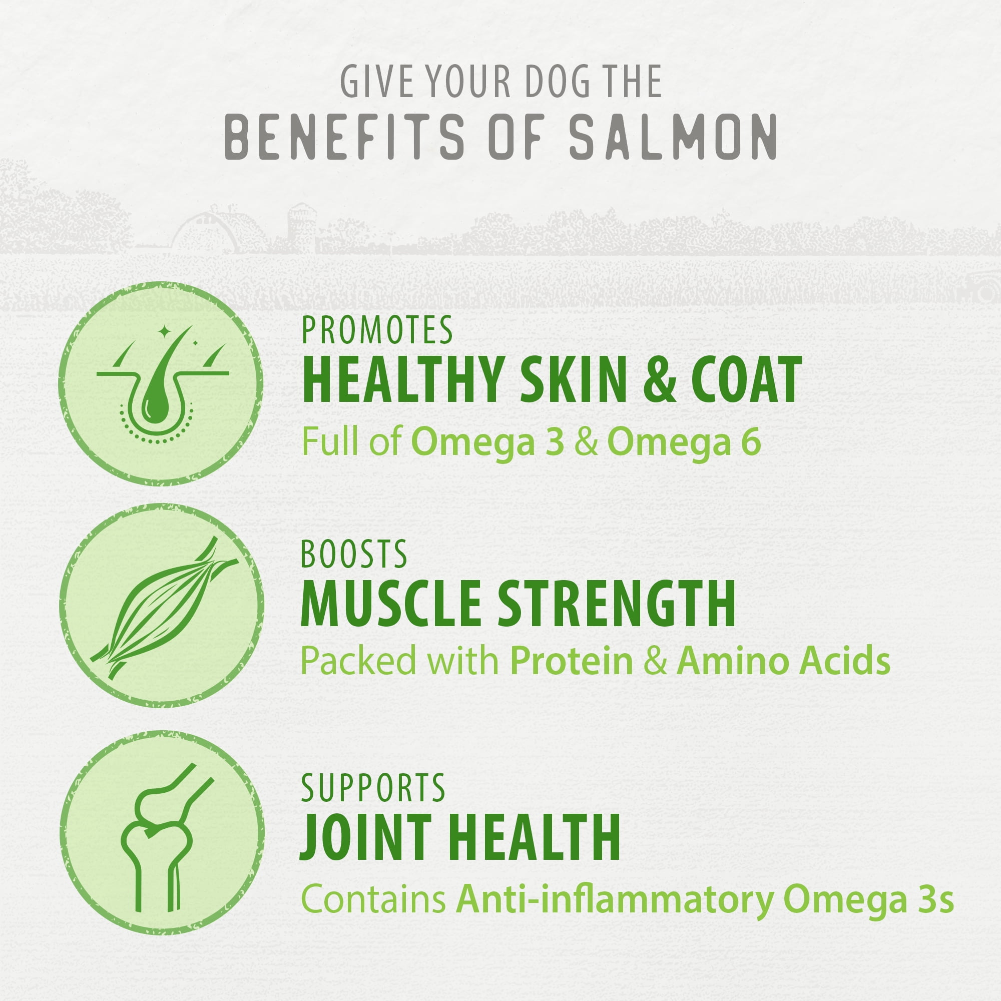 Caledon Farms Freeze Dried Salmon Bites All Natural Dog Treats 90g