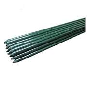 EcoStake Garden Stakes for Plants Vegetable Fence Post 1/4x48, Pack of 40 Fiberglass Stakes Tree/Cucumber/Tomato/Bean Pole Stake Rust-free
