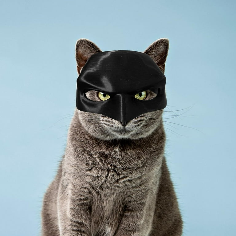 Cat and Bat Masks Cat and Bat Masks