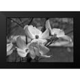thumbnail image 2 of Berzel, Erin 14x11 Black Modern Framed Museum Art Print Titled - Dogwood Blossoms I BW, 2 of 5