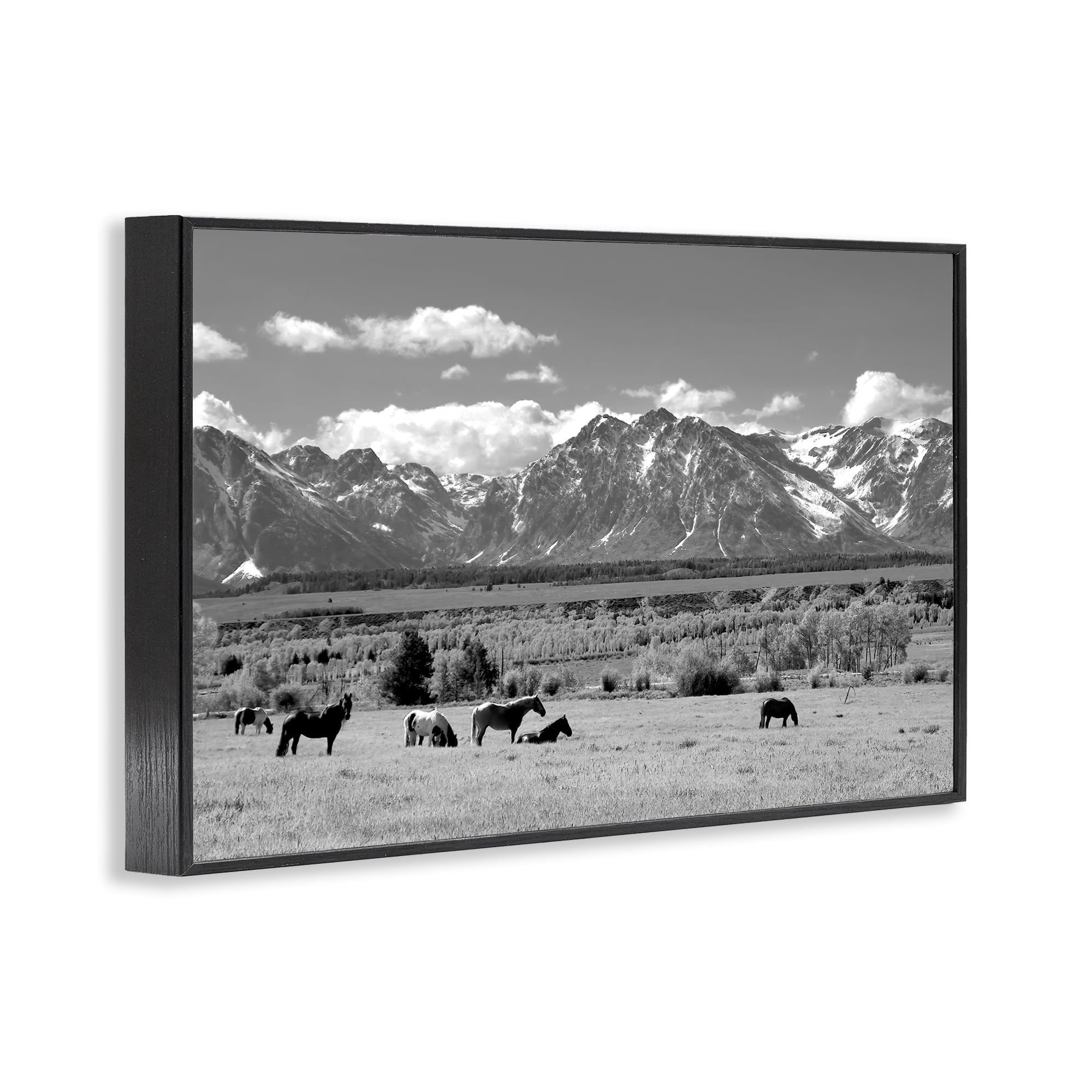 Stupell Industries Wyoming Ranch Horses Grazing Black Framed Giclee Art, design by Steve Toole