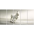 thumbnail image 2 of Beautiful White Horse Running - Animal Canvas Art Print, 2 of 3