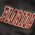 thumbnail image 3 of Youth Stadium Athletic Charcoal Florida State Seminoles Big Logo Pullover Hoodie, 3 of 3