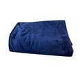 thumbnail image 1 of DPTALR Super Soft Warm Warm Micro Plush Fleece Blanket Throw Rug Sofa Bedding, 1 of 2