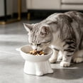 thumbnail image 6 of Cat Bowl, Large Capacity Slanted Design Wide Mouth Angled Food Dish Plastic Pet Feeding Station Water Dish Dishwasher Safe Stress Relief Elevated Tilted Feeder Stand Black, 6 of 6