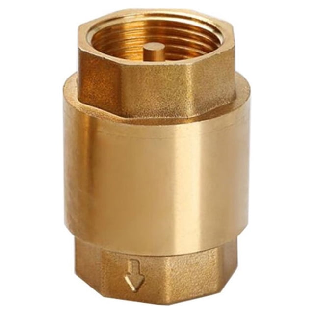 Eigraketly Válvula de retención de resorte Tapa antirretorno Pieza reemplazada Mano de obra de latón Tamaño compacto Duradero Universal Válvulas DN40