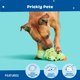 thumbnail image 5 of Juguete Masticable Barkbox BARK Prickly Pete pequeño para Perros y Cachorros, 5 of 7
