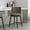 Dove, variant on Evalyn Modern Wood Upholstered Counter Stool in White