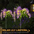 thumbnail image 4 of WDOplteas Lámpara Solar Glicina Lámpara Estaca LED Impermeable IP65 para Jardín (púrpura) 2 Uds., 4 of 9