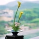 thumbnail image 4 of Plato redondo de cerámica retro for mesa con bandeja for arreglos florales Kenzan, 4 of 4