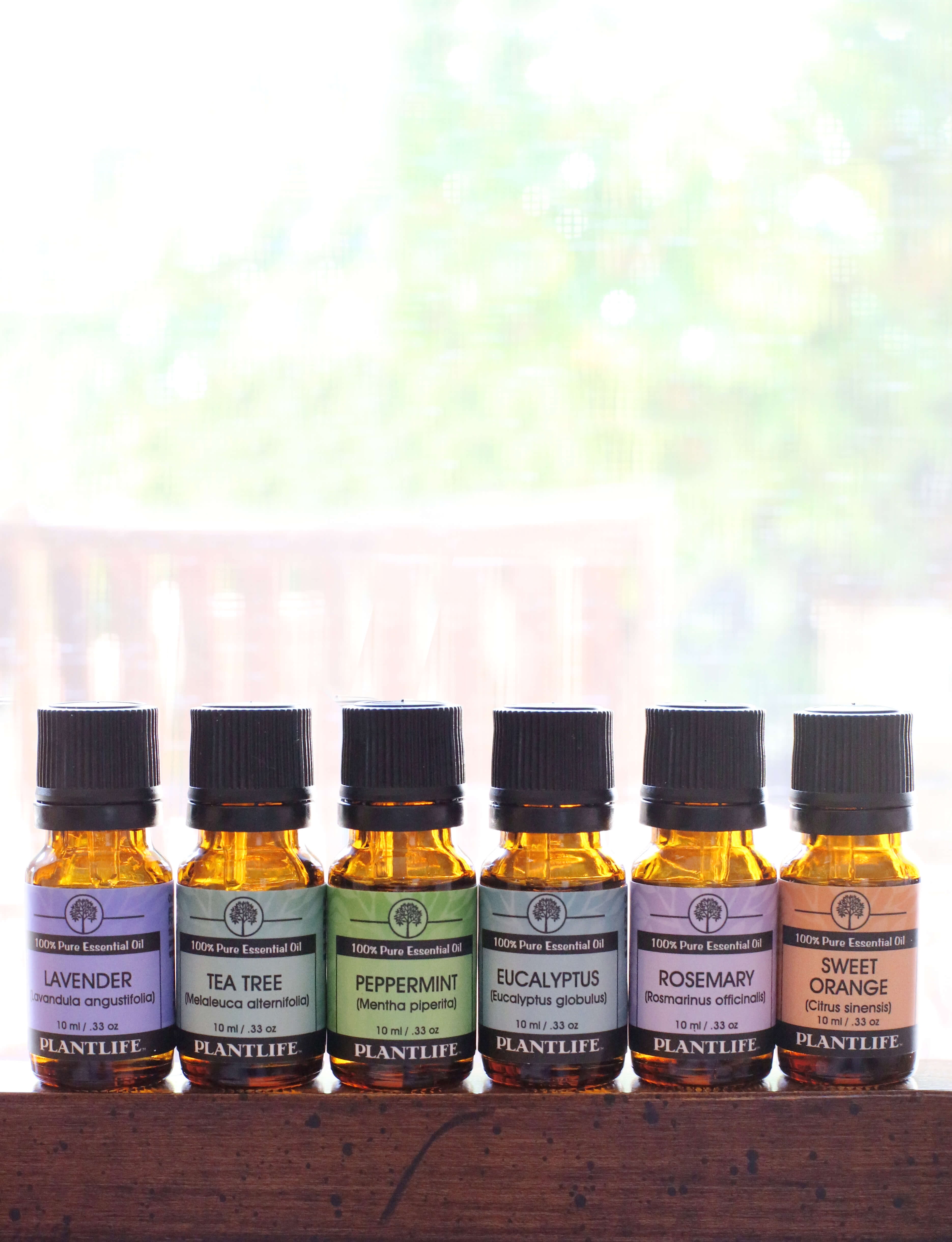 Plantlife Eucalyptus Essential Oil – 100% Pure Oil for Aromatherapy, Diffuser, Sinus Relief & Respiratory Support – 30 ml