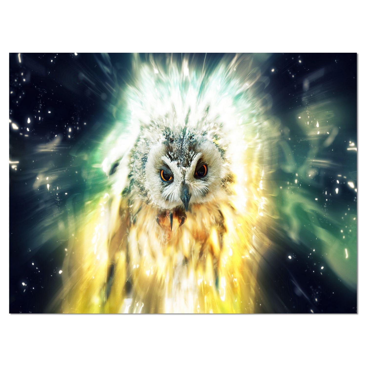 Design Art Hibou Coloré Art Sur Toile