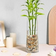 5 Pounds Pebbles for Plants, 3/8 to 1/2 Inch Decorative Rocks for Vase, Succulents, Highly Polished, Mixed Color