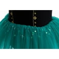 thumbnail image 5 of Toddler Girls Witch Ballet Dress Kids Princess Leotards Tutu Skirted Dancewear Halloween Christmas Party Dresses 3-8Y, 5 of 7