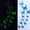 Blue, variant on OAVQHLG3B 12pcs Luminous Butterfly Design Decal Art Wall Stickers Room Magnetic Home Decor