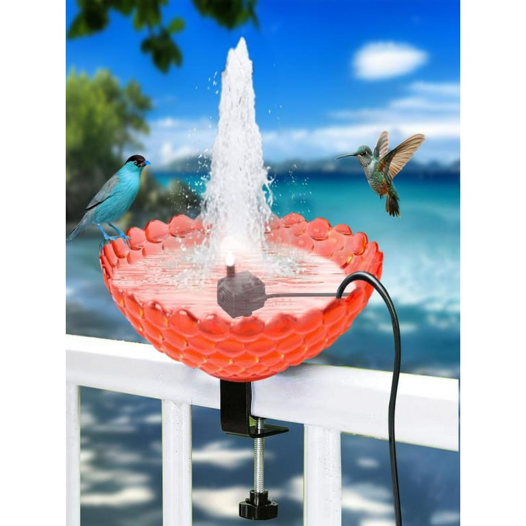Bird Baths to Attract Birds: Ultimate Guide for a Lively Garden