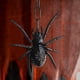 thumbnail image 4 of Maojin Accesorios decorativos para Halloween, juguete para trucos de araña, colgante de araña de plástico de simulación, LED, araña negra brillante, 4 of 5