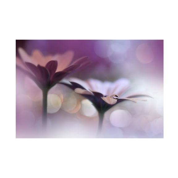 Canvas Wall Art - Juliana Nan 'Oo' Wall Art for Living Room, Bedroom, or Office D?cor by Trademark Fine Art - 19 x 12 Inches